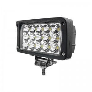 WETECH LED LUMINA A10245